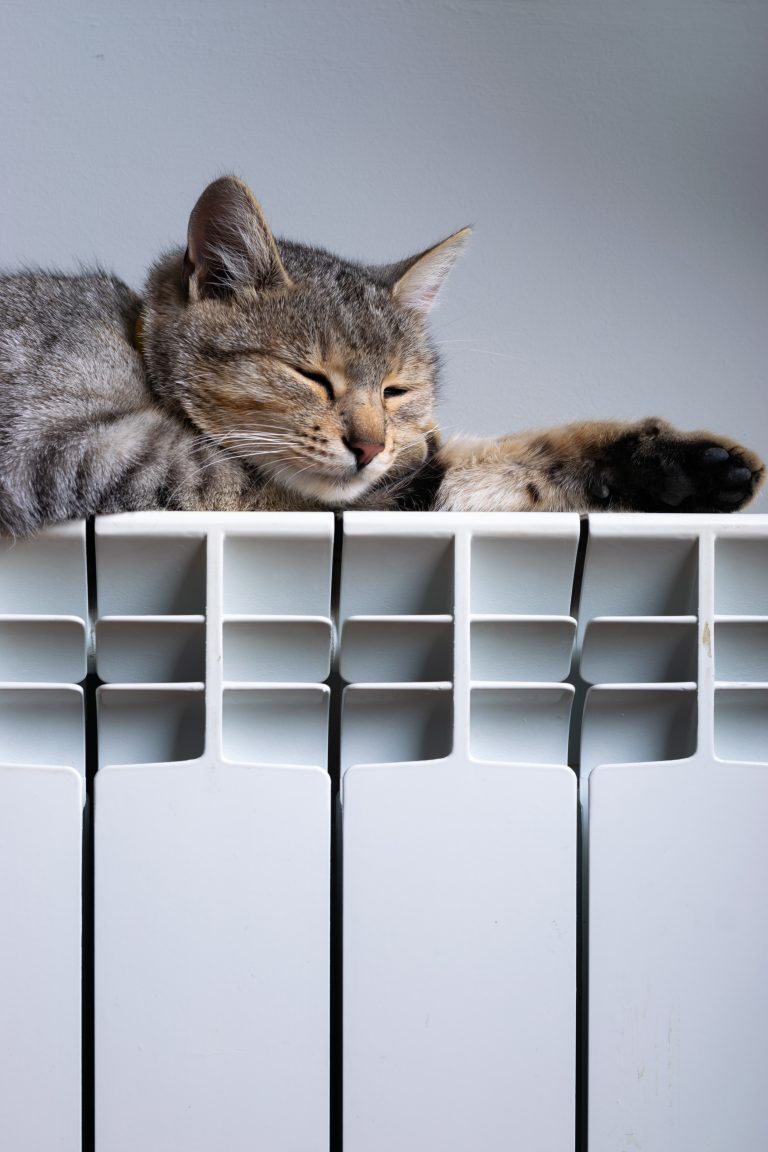 Un chat allongé sur un radiateur